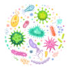 5 doenças caudas por vírus