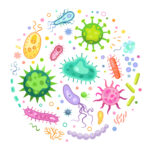 5 doenças caudas por vírus